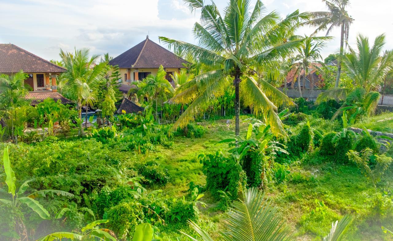 Semujan Bungalow Ubud Buitenkant foto